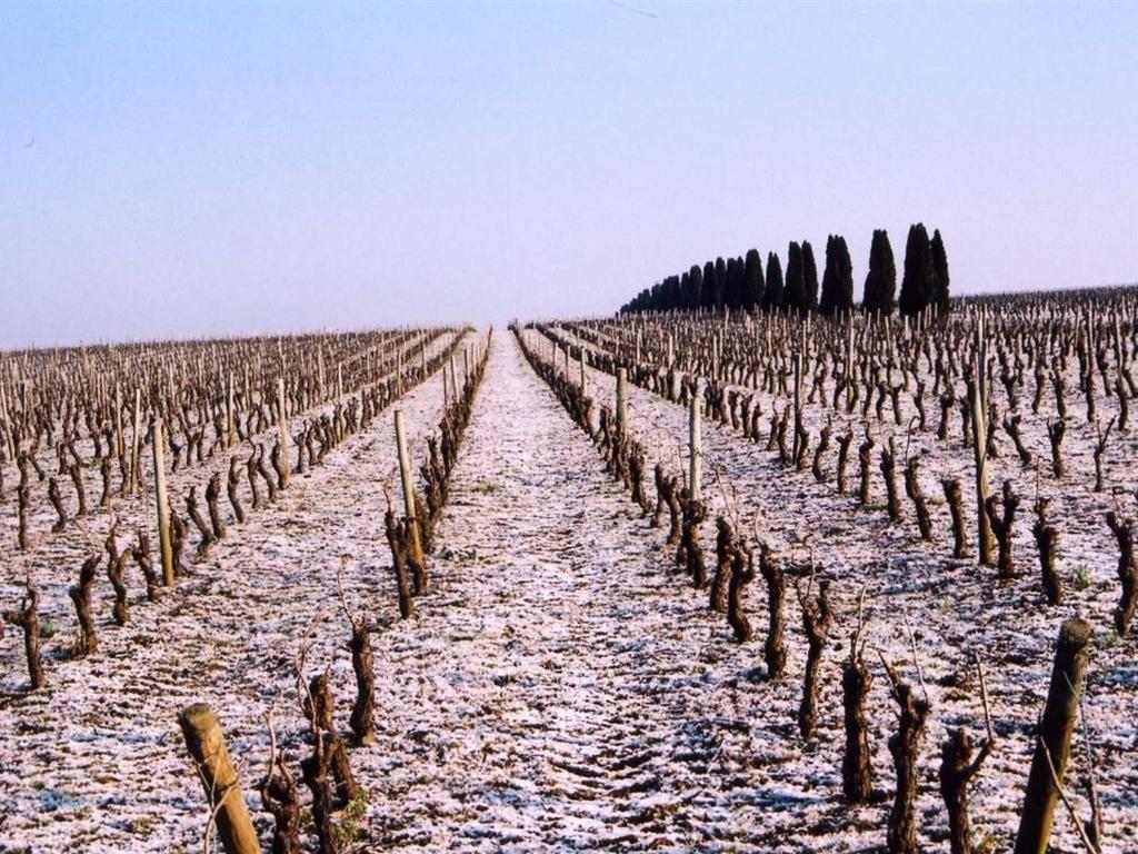 Chateau De La Galissonniere Le Pallet Luaran gambar